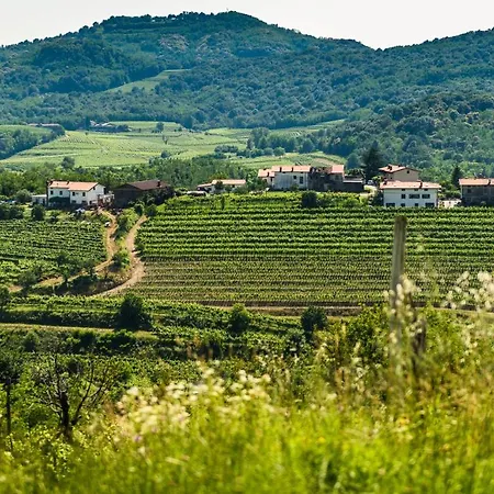 Britof Forest House In Chestnut Valley Villa Kanal